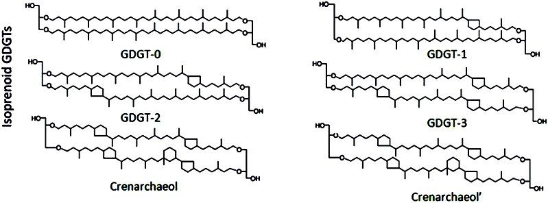 File:Isoprenoid GDGTs.jpg