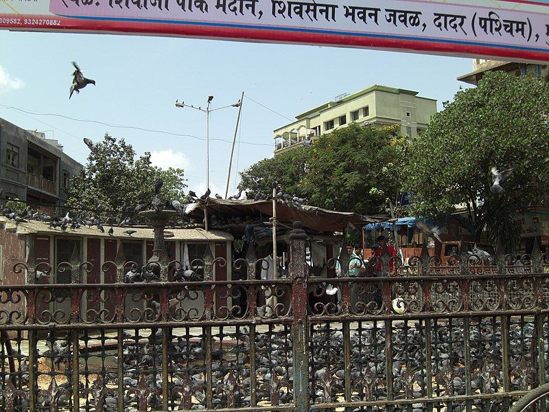 File:Kabooter Khana Dadar.jpg