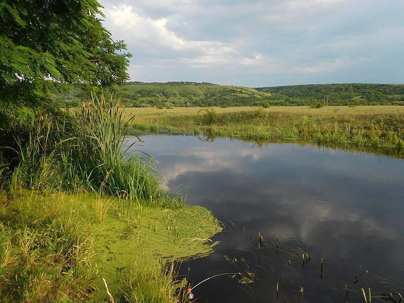 File:Kodyma River.jpg