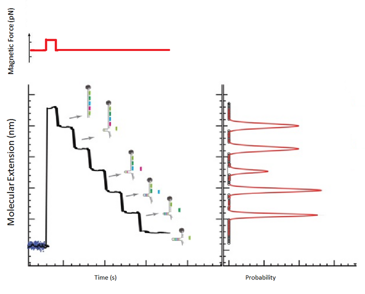 File:MagneticDetection.png