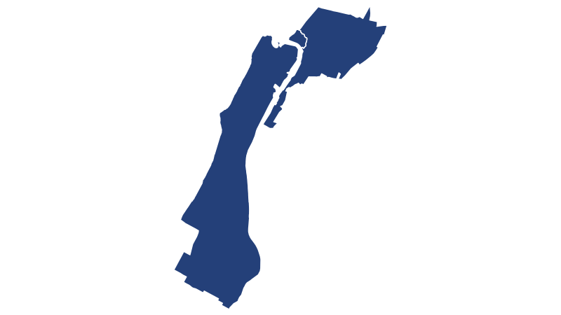 File:NewYorkCongD13(2018).svg