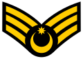 Baş miçman (Azerbaijani Navy)[1]