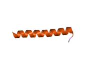 2ovc: Crystal structure of a coiled-coil tetramerization domain from Kv7.4 channels