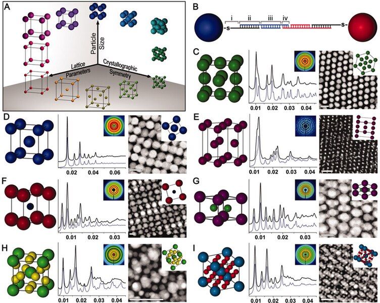 File:Programmable-Nanomaterials-fig2-new.jpg