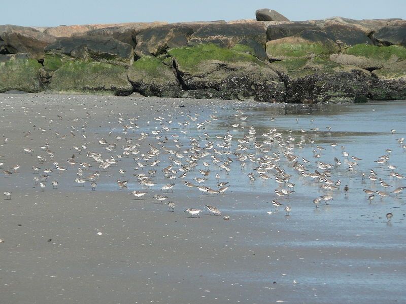 File:Rockaway Beach.JPG