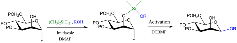 File:Silicon tethering 2.png