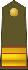 File:Spain-Army-OR-6.svg