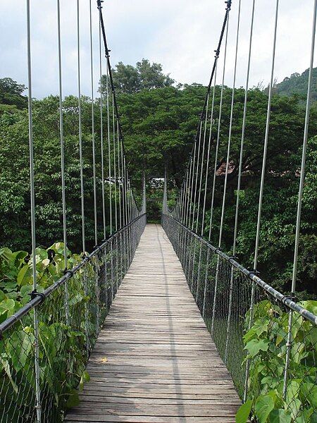 File:Sway bridge.jpg