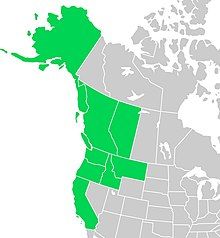 Symphyotrichum subspicatum native distribution map: Canada — Alberta and British Columbia; US — Alaska, California, Idaho, Montana, Oregon, and Washington.