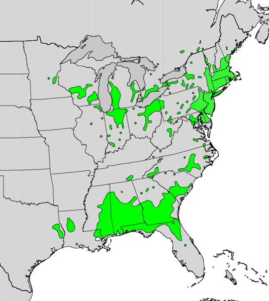 File:Toxicodendron vernix map.png