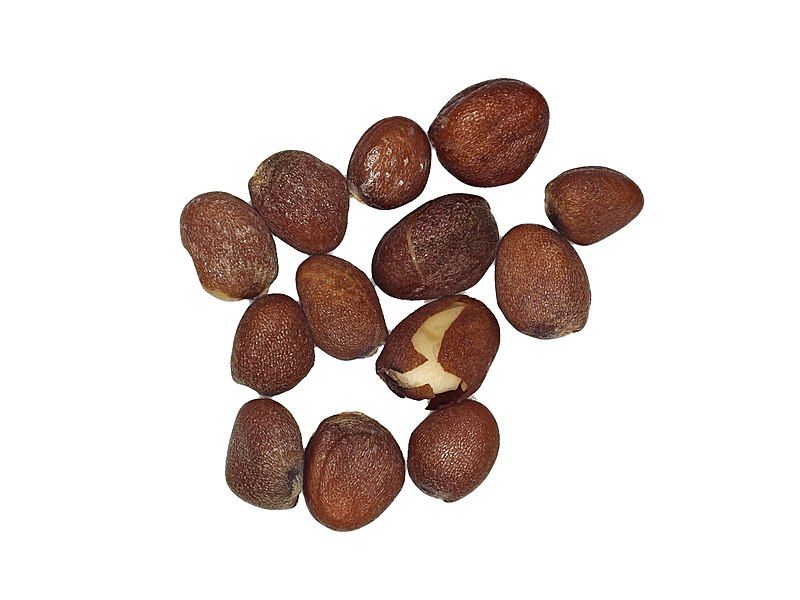 File:White Radish Seeds.jpg