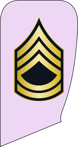 File:9- IRIADF-CSM.png