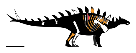 Bashanosaurus