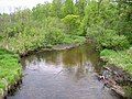 Blueberry River in Blueberry Township