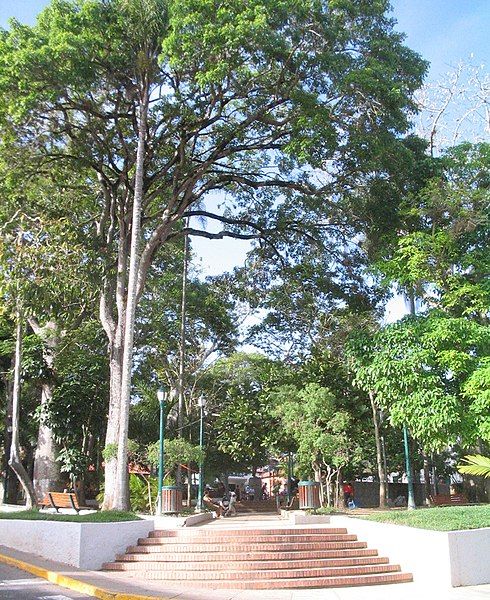 File:Bolivar sq stairs.jpg