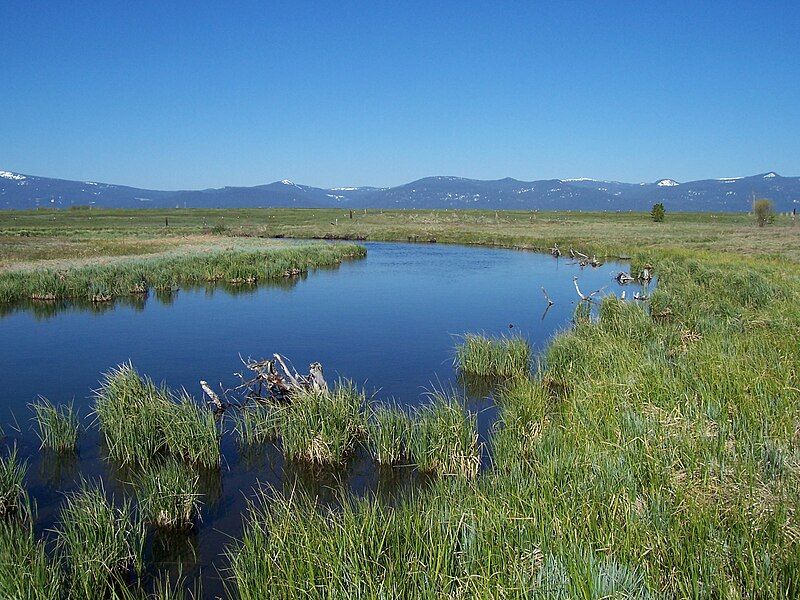 File:Crooked Creek Channel.jpg