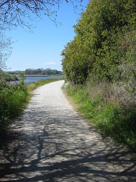 File:Elkhorn Slough.jpg