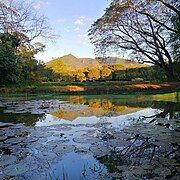 Mt. Arayat seen at PSAU school grounds