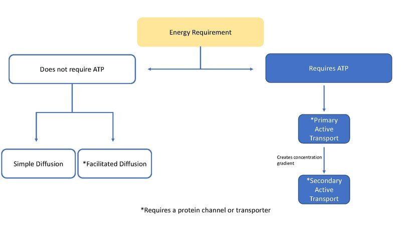 File:Figure 2.jimmyjohnslaser2.pdf