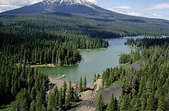 Forested land with a lake in the foreground and a snow-covered mountain in the background