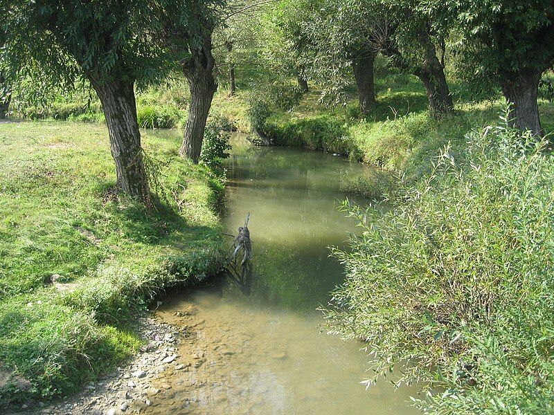 File:Hatnuța River.jpg