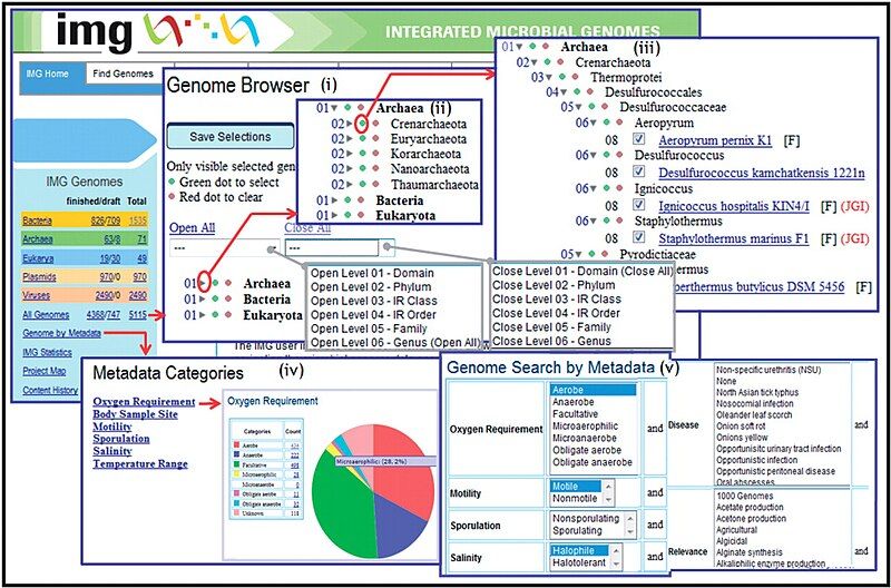 File:Integrated microbial genomes.jpg