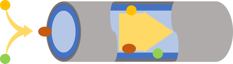 File:Ion-Pair Chromatography.png