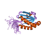 2dmw: Solution structure of the LONGIN domain of Synaptobrevin-like protein 1