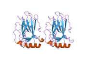 2j1w: HUMAN P53 CORE DOMAIN MUTANT M133L-V143A-V203A-N239Y-N268D