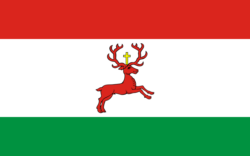 File:POL Wyrzysk flag.svg