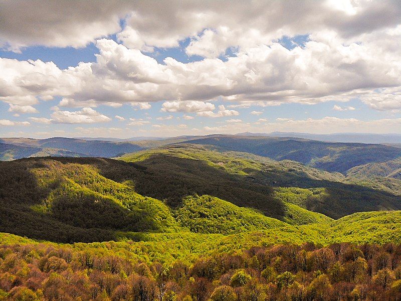 File:Planina Ostrozub 14.jpg