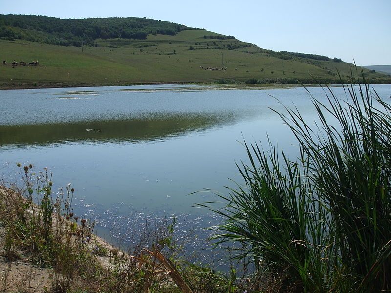 File:Suatu lake, Cluj.JPG