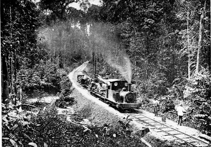 File:TheFirstTrainInNorthBorneo-3rdFebruary1898.PNG