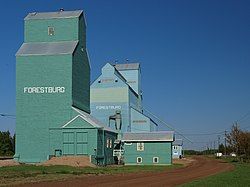 Forestburg grain elevators