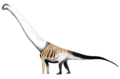 Aegyptosaurus