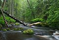 The Altja River