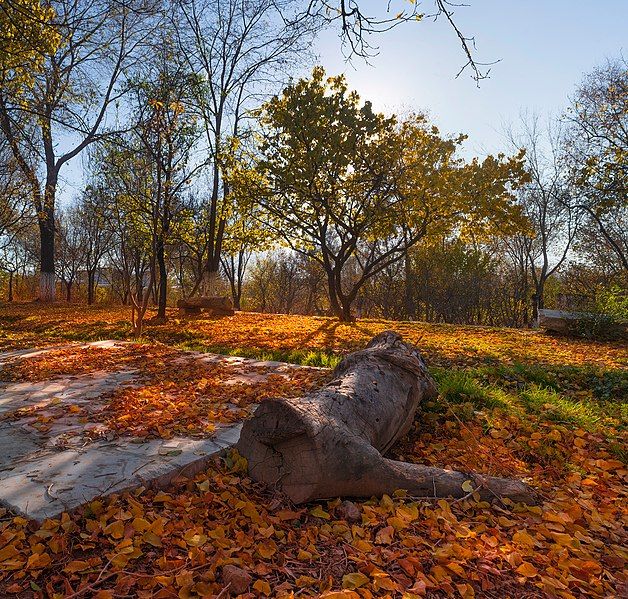 File:Bagh-e Babur 2015.jpg