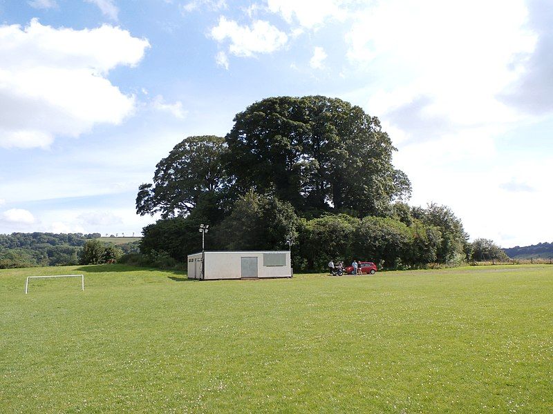 File:BamptonCastleDevonMotte.JPG