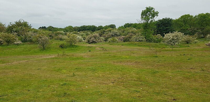 File:Crossgates Quarry.jpg