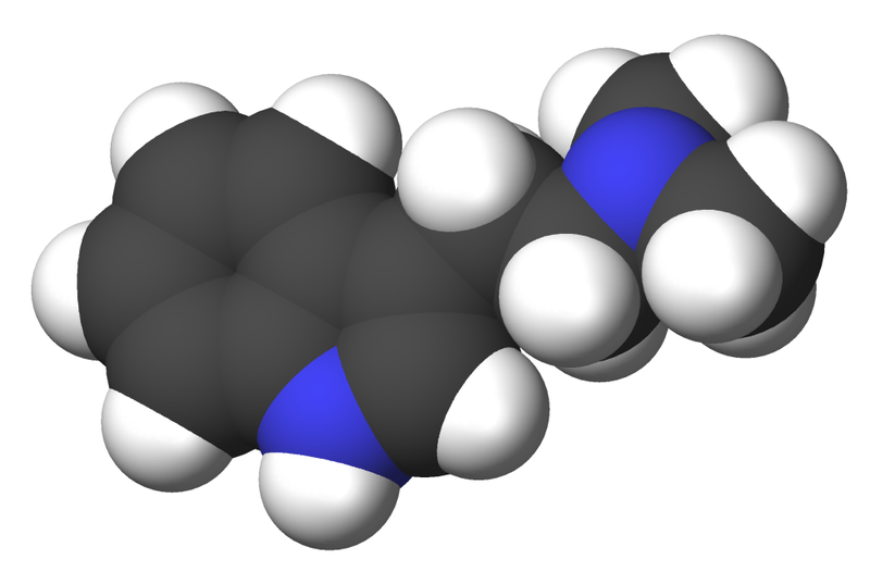 File:Dimethyltryptamine-3d-CPK.png