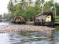 Boats and ducks in the backwaters