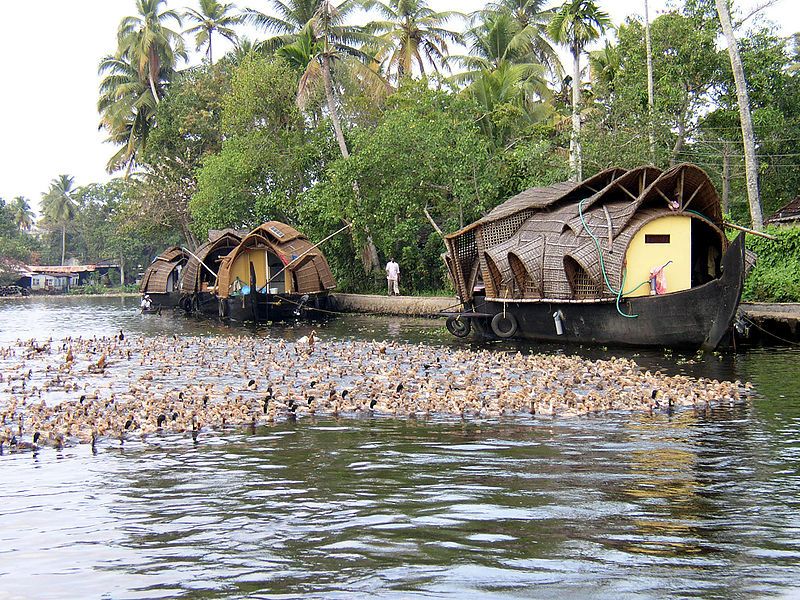 File:Enten backwaters.JPG