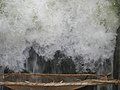 Fishing in the sluices, Kallanai dam, Thanjavur