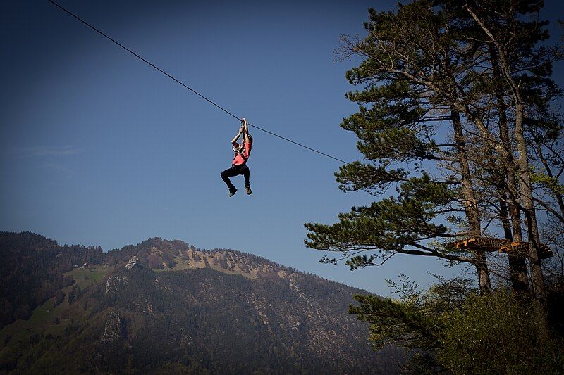 File:Flyingfox.jpg