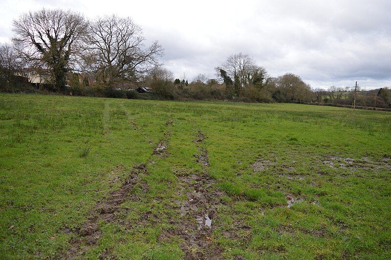 File:Frieth Meadows 1.JPG