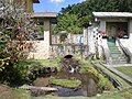 Rear fountain & pond