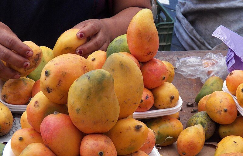 File:Mangos criollos.jpg