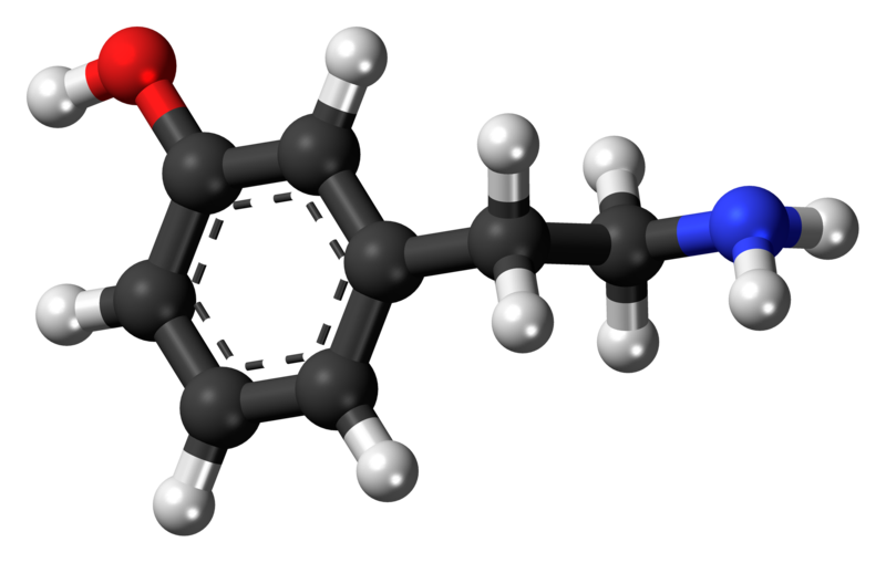 File:Meta-Tyramine 3D ball.png