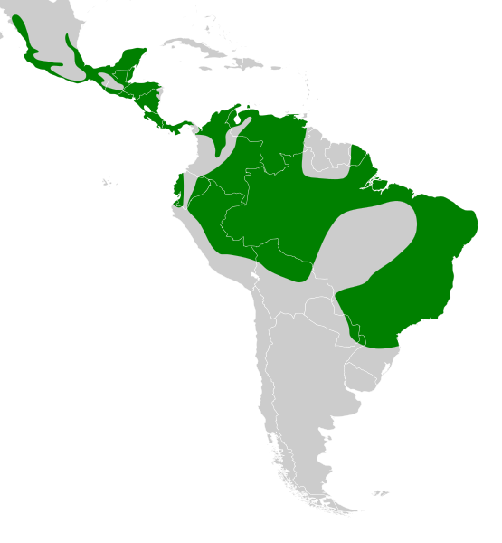 File:Myiozetetes similis map.svg