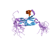 2dmk: The solution structure of the FN3 domain of human Midline 2 protein